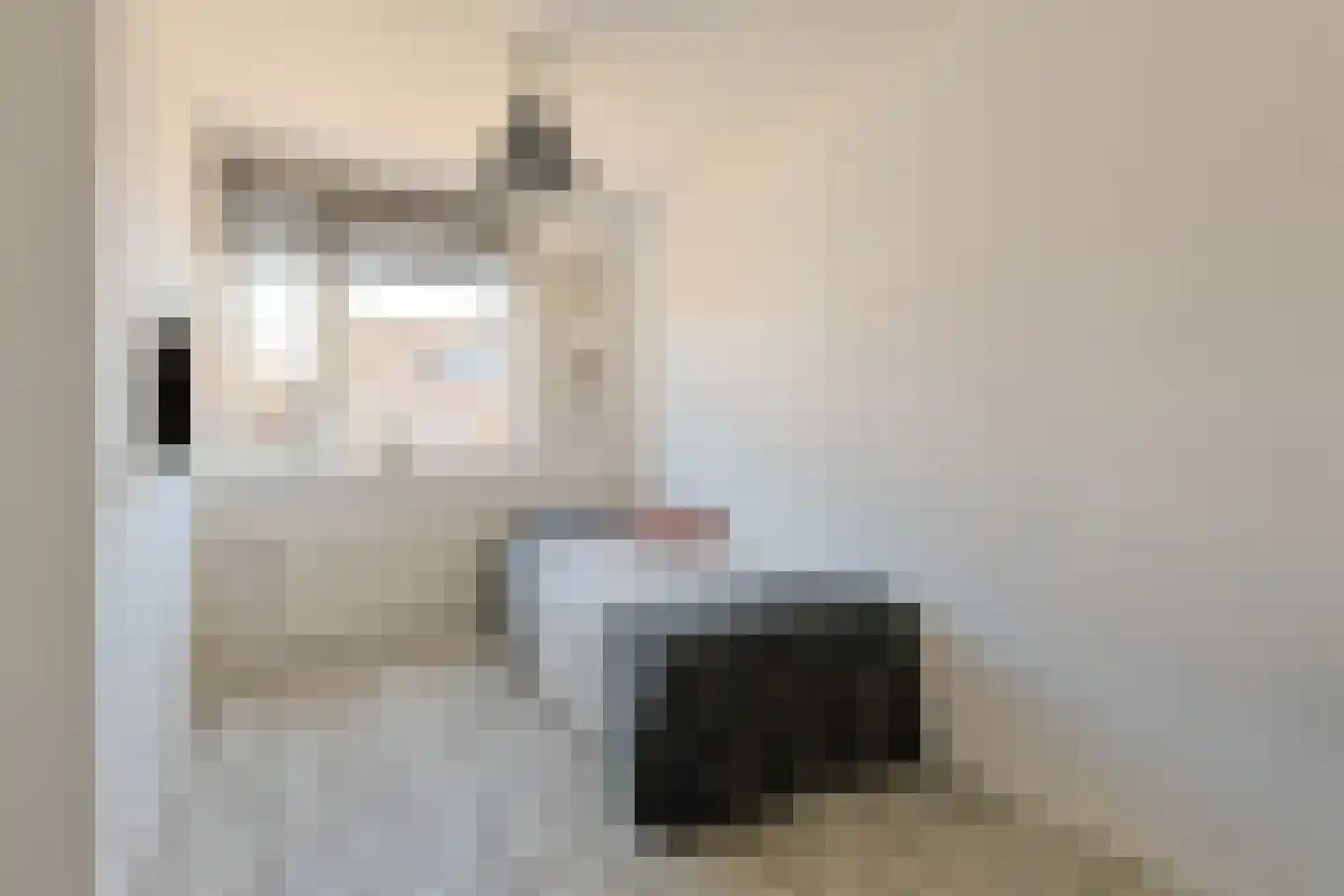 Oude Herenweg 3 Alphen aan den Rijn thumbnail 28