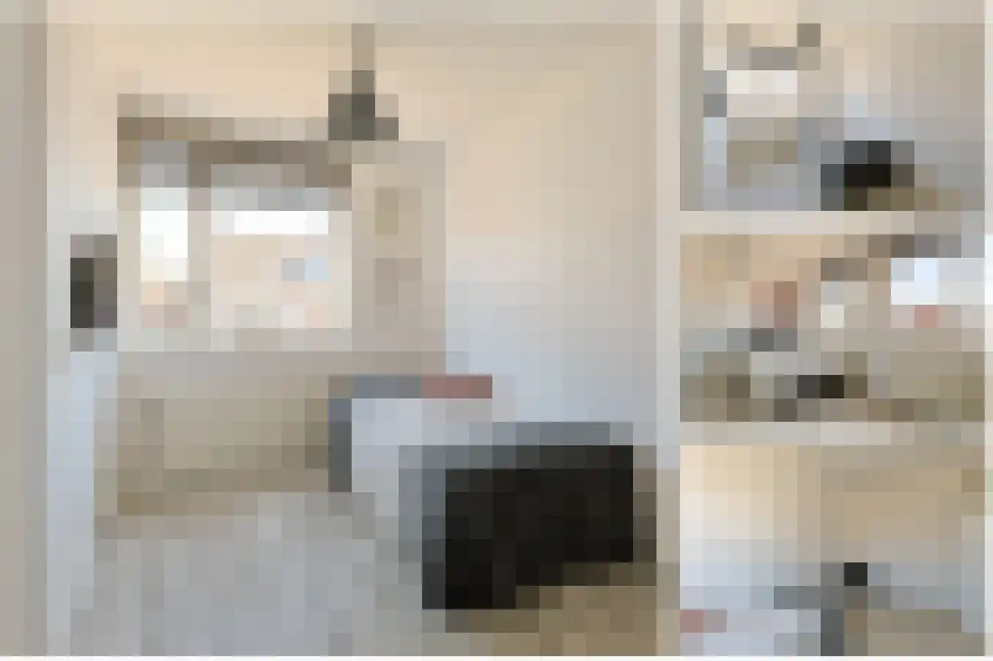 Oude Herenweg 3 Alphen aan den Rijn thumbnail 31