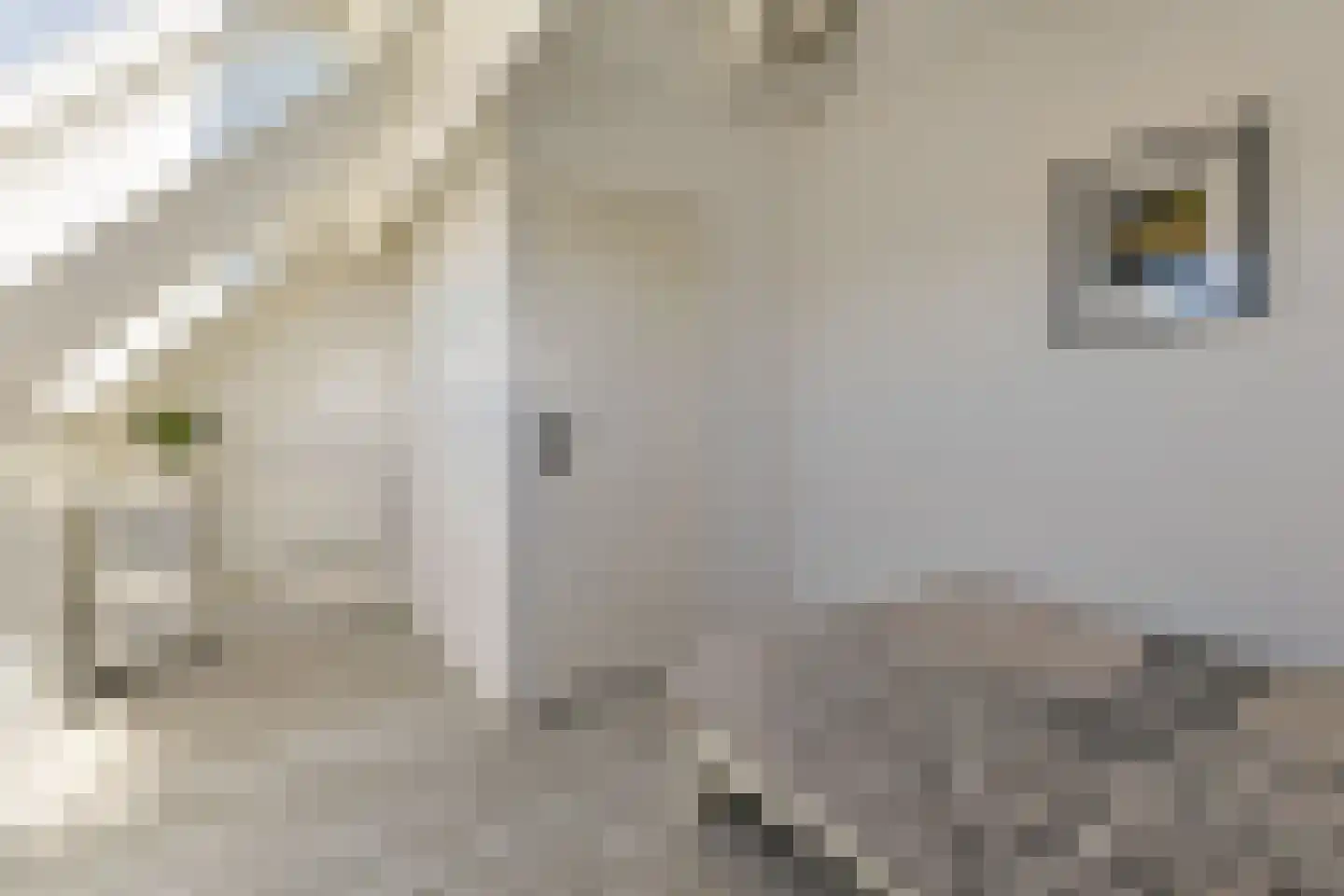 Oude Herenweg 3 Alphen aan den Rijn thumbnail 40