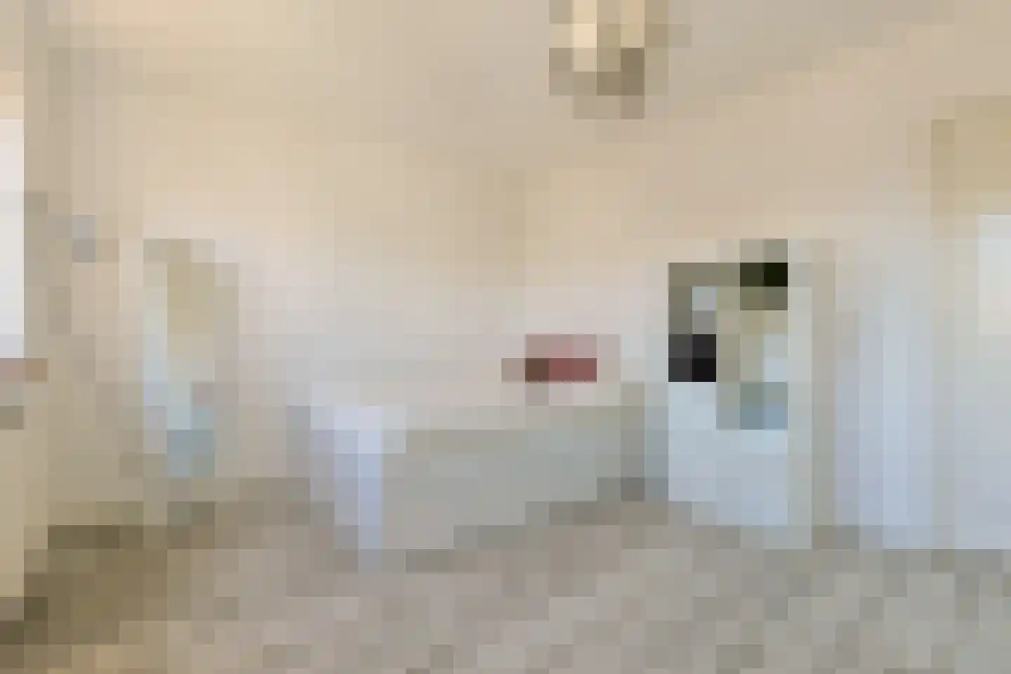 Oude Herenweg 3 Alphen aan den Rijn thumbnail 44