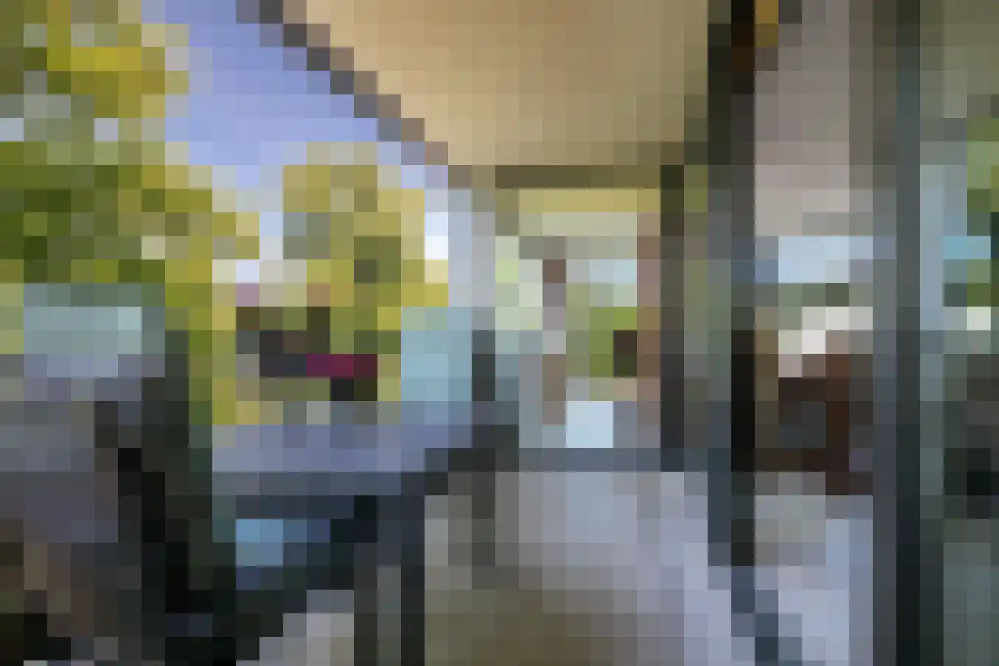 Oude Hilvarenbeekseweg 3 09 Tilburg thumbnail 39