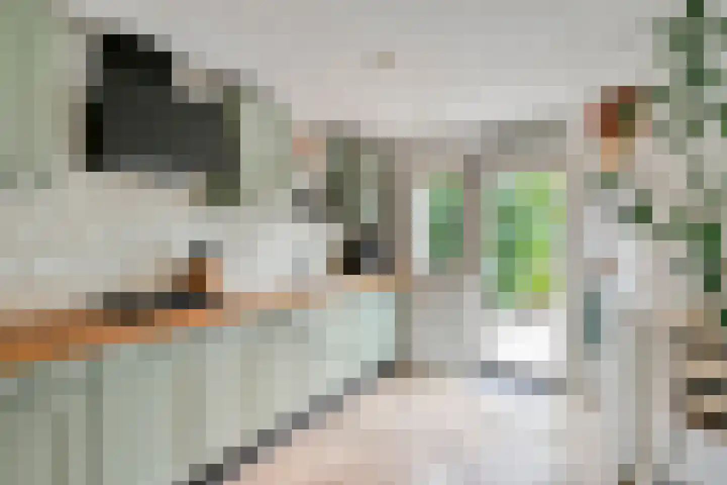 Oude Hilvarenbeekseweg 32 Tilburg thumbnail 12