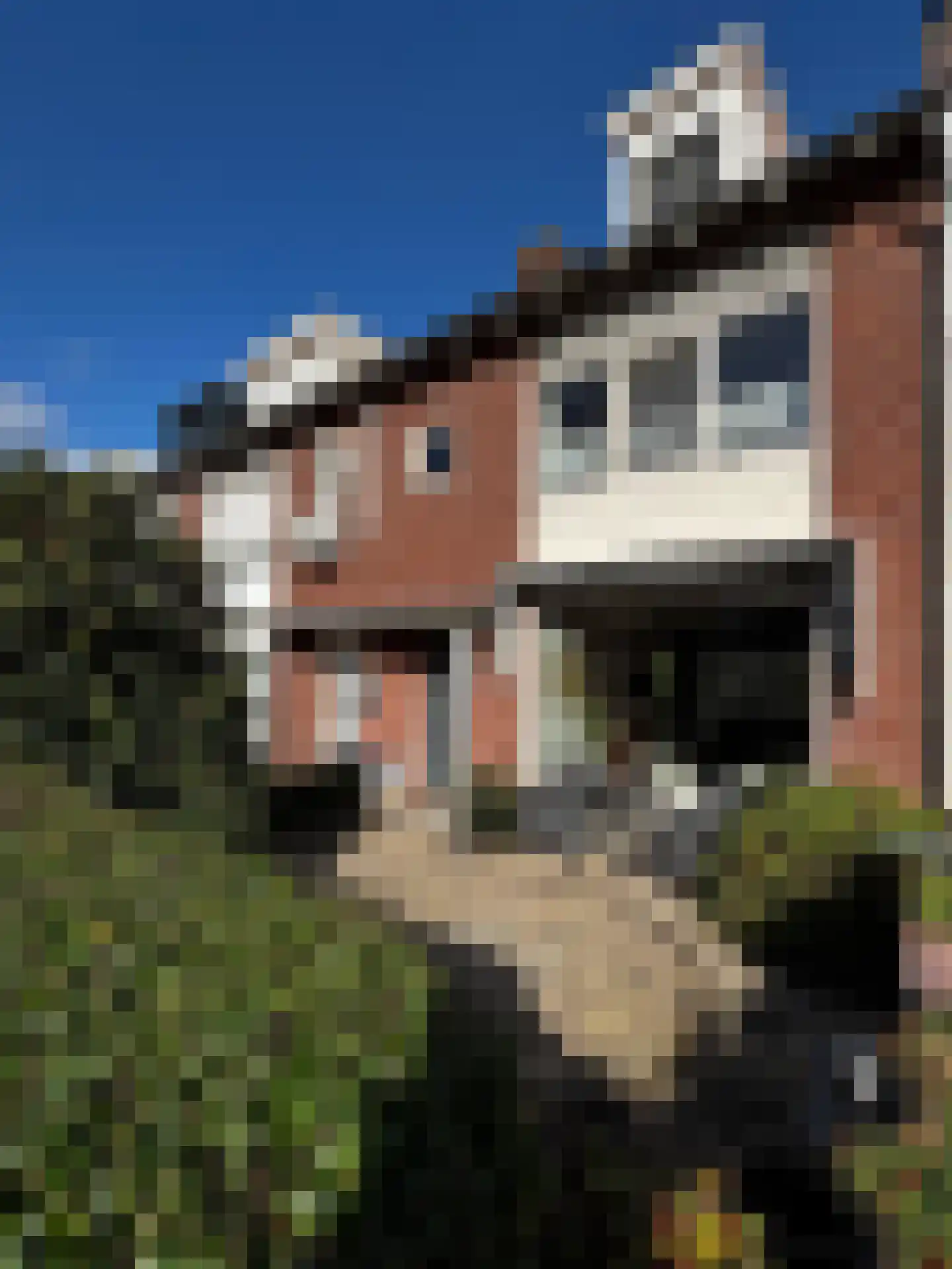 Oude Hilvarenbeekseweg 32 Tilburg thumbnail 44