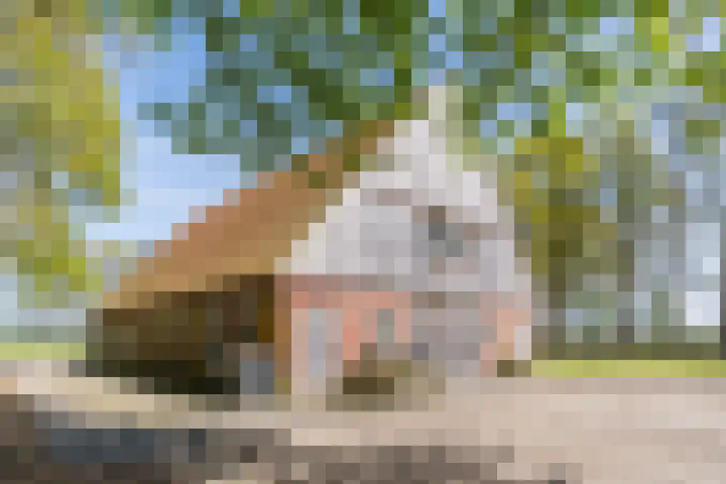 Oude Hoevenweg 149 Vriezenveen thumbnail 30