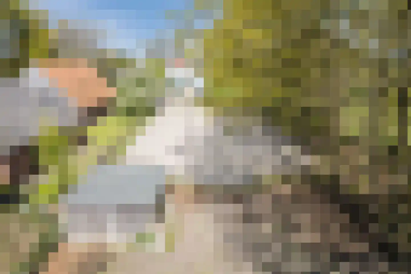 Oude Hoevenweg 149 Vriezenveen thumbnail 33