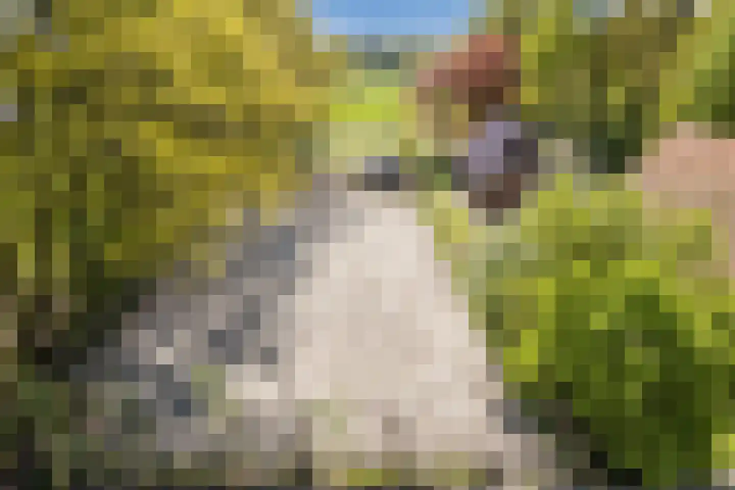 Oude Hoevenweg 149 Vriezenveen thumbnail 34