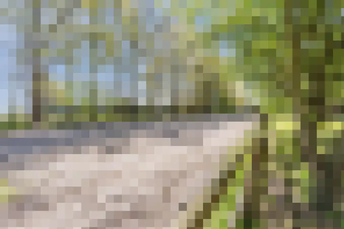Oude Hoevenweg 149 Vriezenveen thumbnail 35