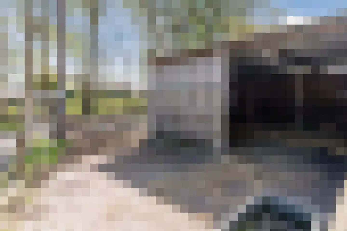 Oude Hoevenweg 149 Vriezenveen thumbnail 37