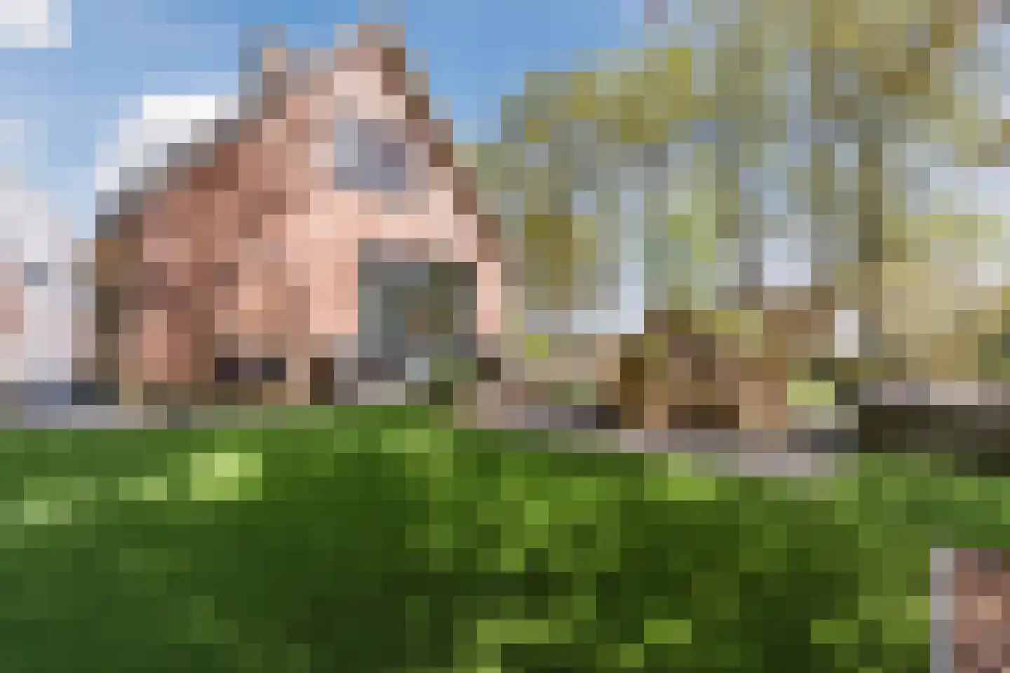 Oude Hoevenweg 149 Vriezenveen thumbnail 39