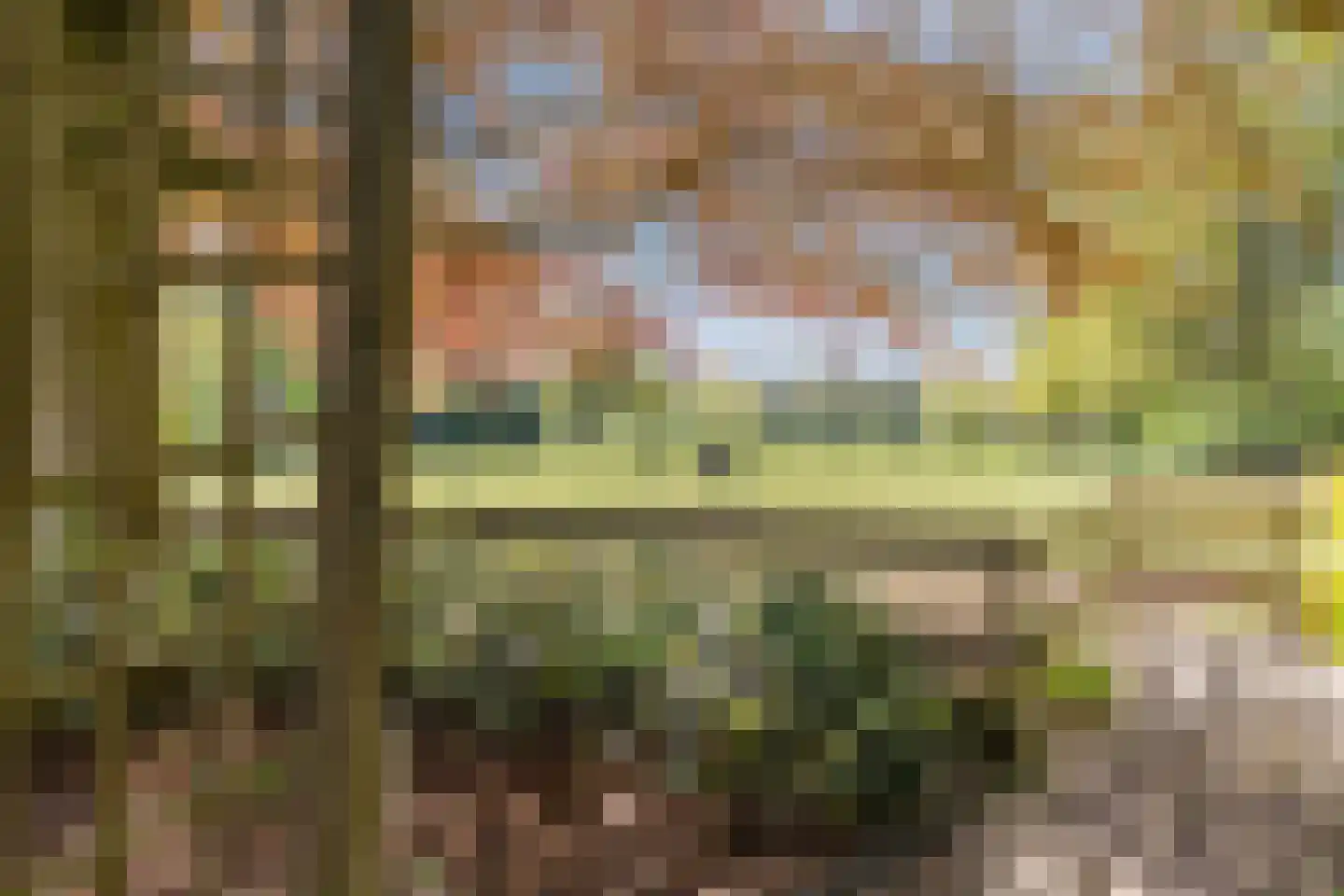 Oude Hoevenweg 149 Vriezenveen thumbnail 4