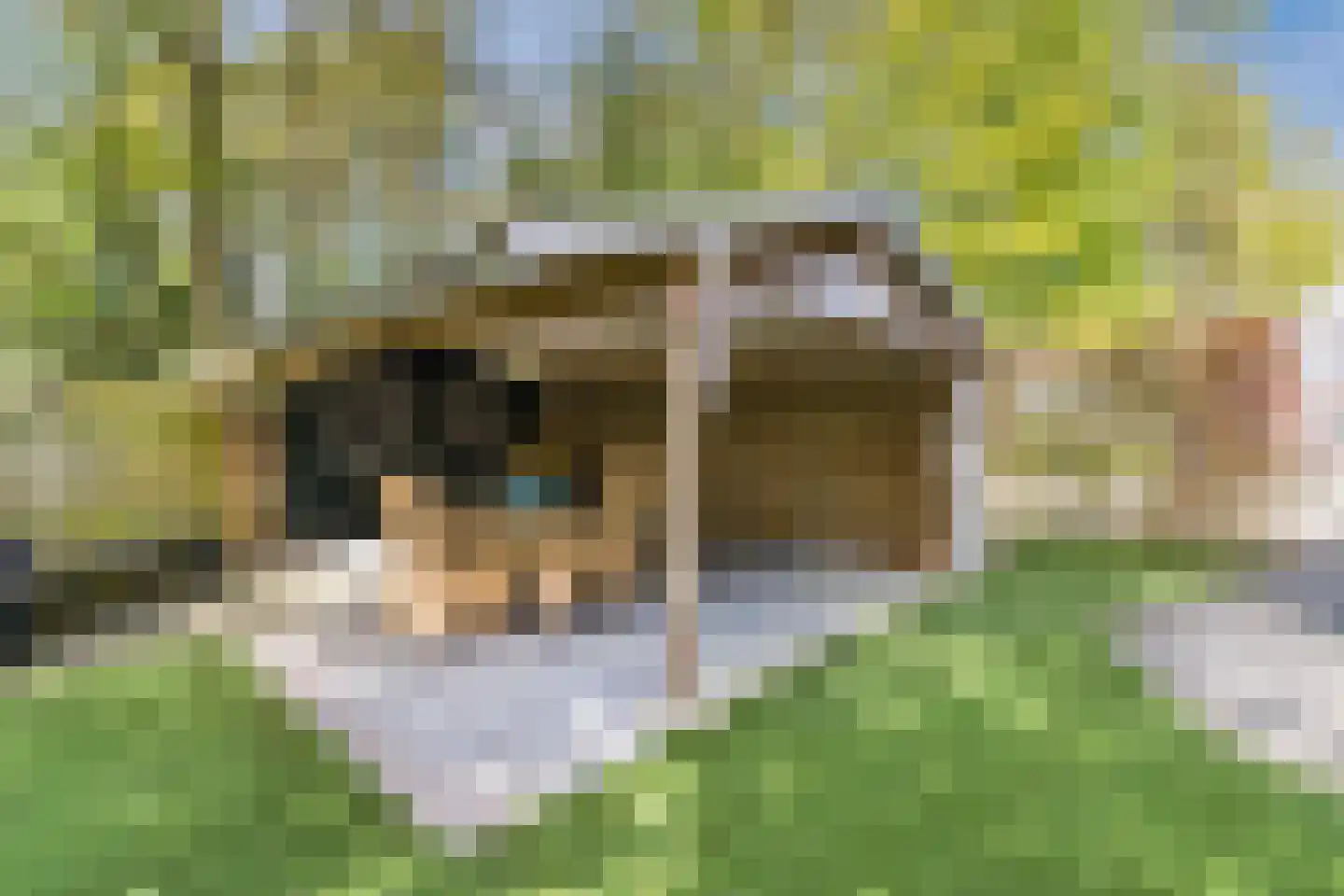 Oude Hoevenweg 149 Vriezenveen thumbnail 40