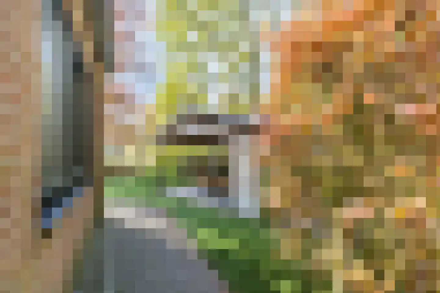 Oude Hoevenweg 149 Vriezenveen thumbnail 41