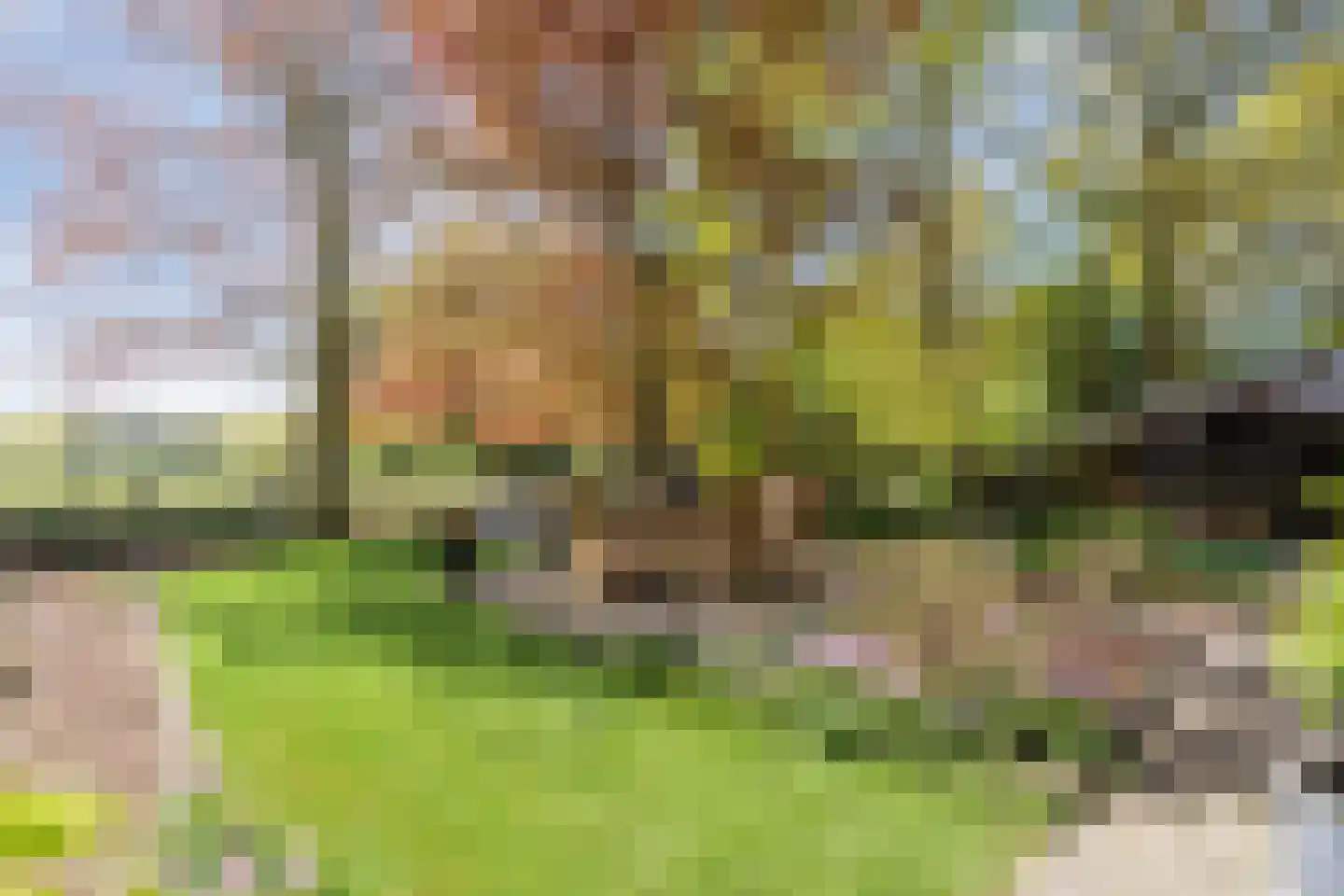 Oude Hoevenweg 149 Vriezenveen thumbnail 42