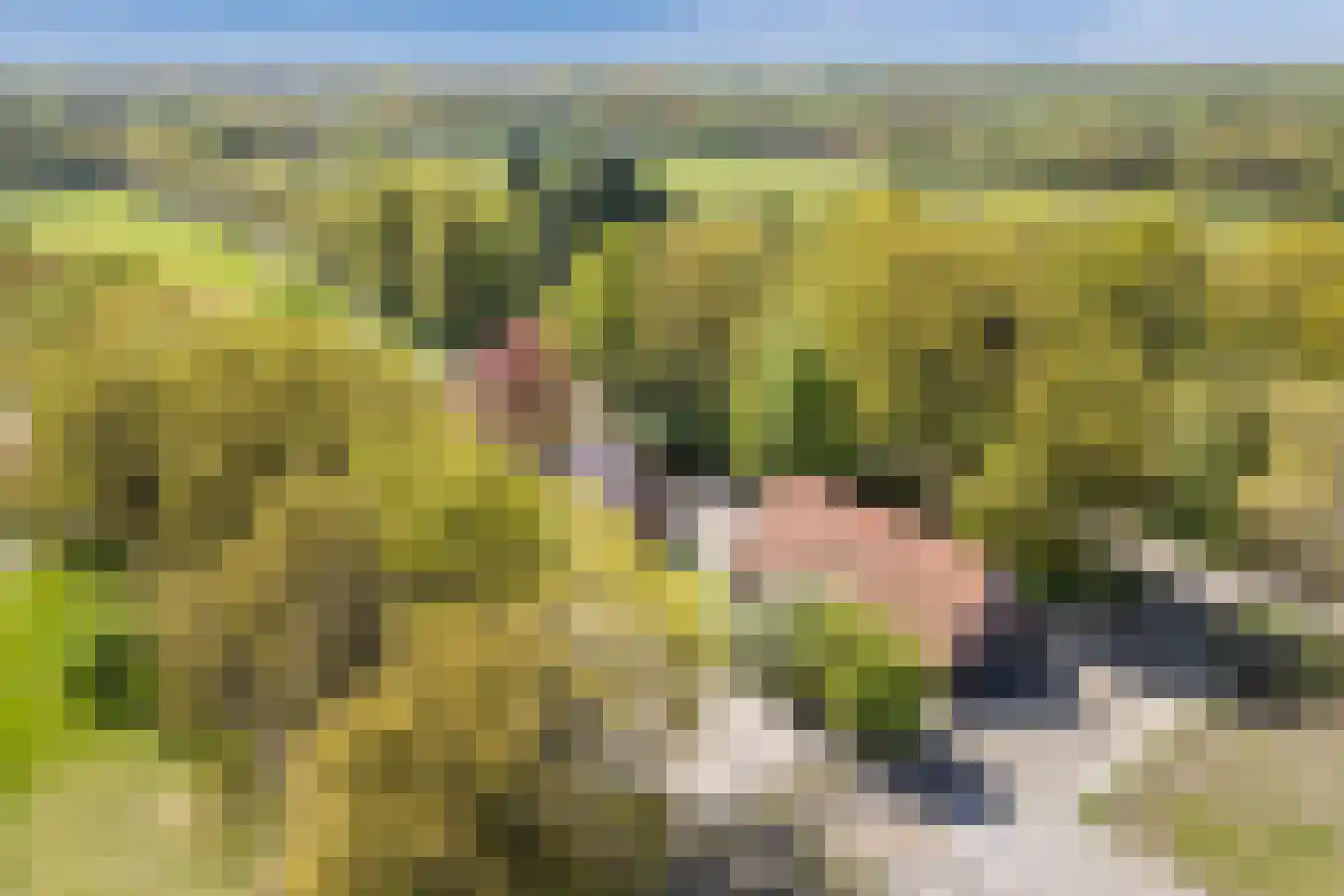 Oude Hoevenweg 149 Vriezenveen thumbnail 43