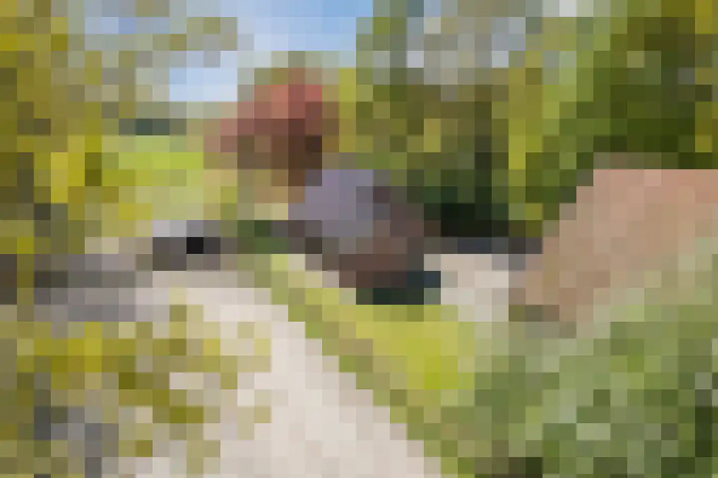 Oude Hoevenweg 149 Vriezenveen thumbnail 44