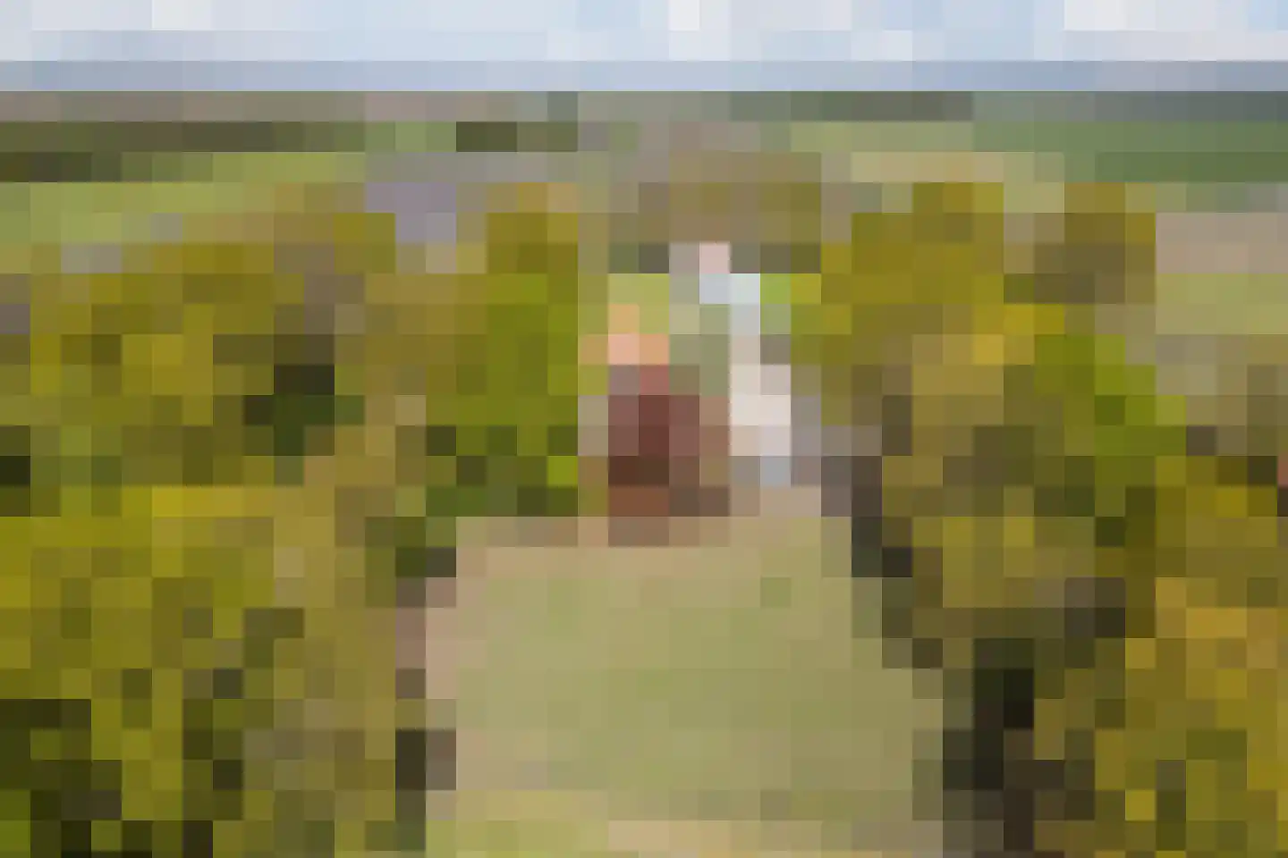 Oude Hoevenweg 149 Vriezenveen thumbnail 45