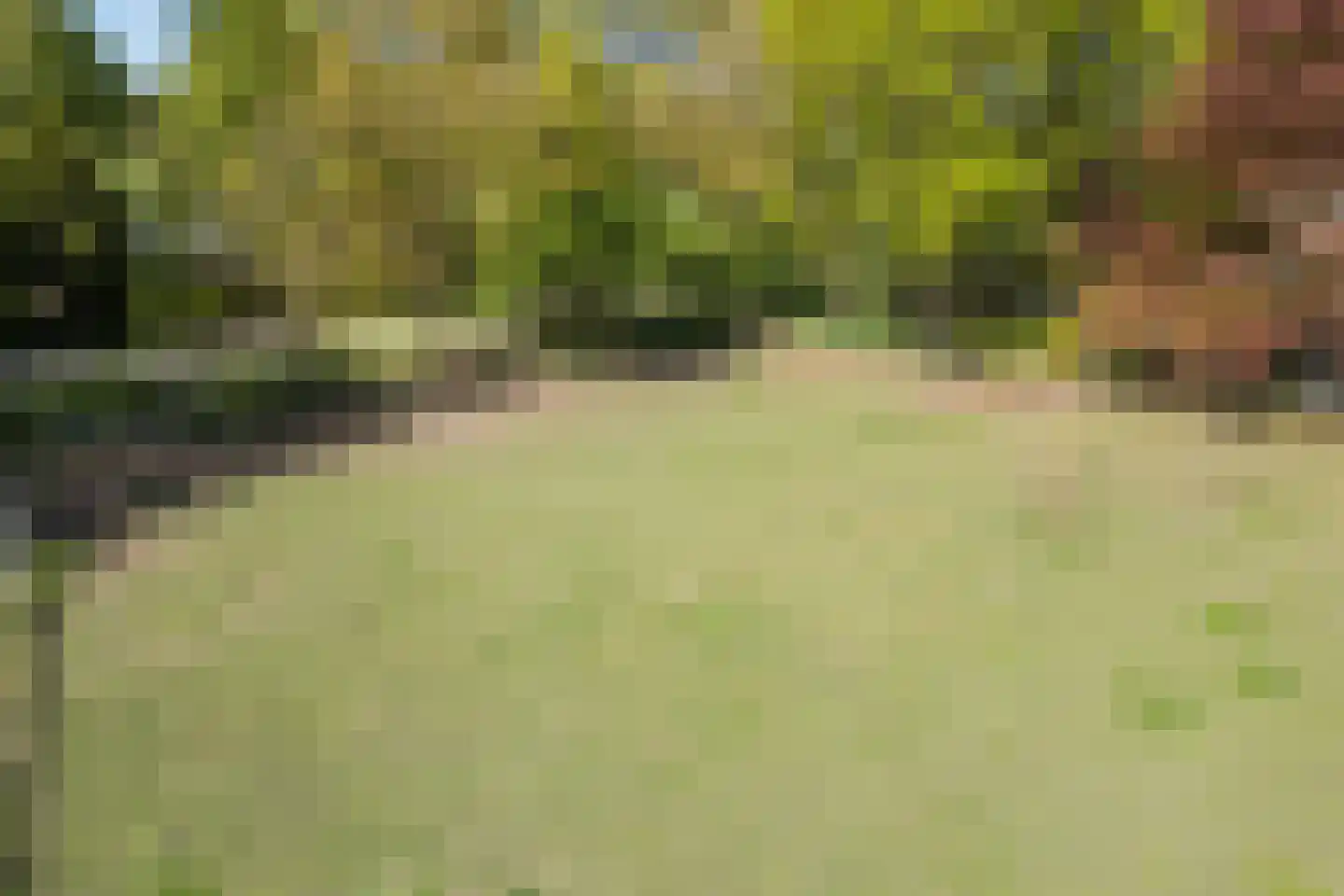 Oude Hoevenweg 149 Vriezenveen thumbnail 46