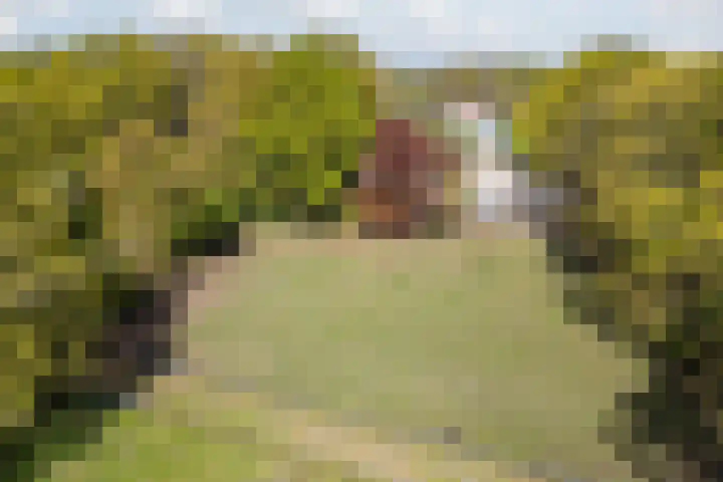 Oude Hoevenweg 149 Vriezenveen thumbnail 47