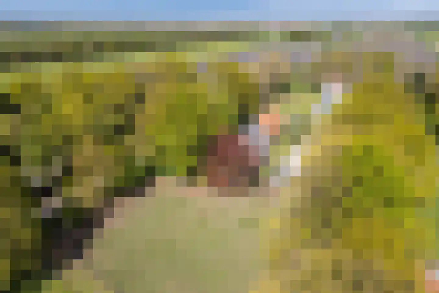 Oude Hoevenweg 149 Vriezenveen thumbnail 48