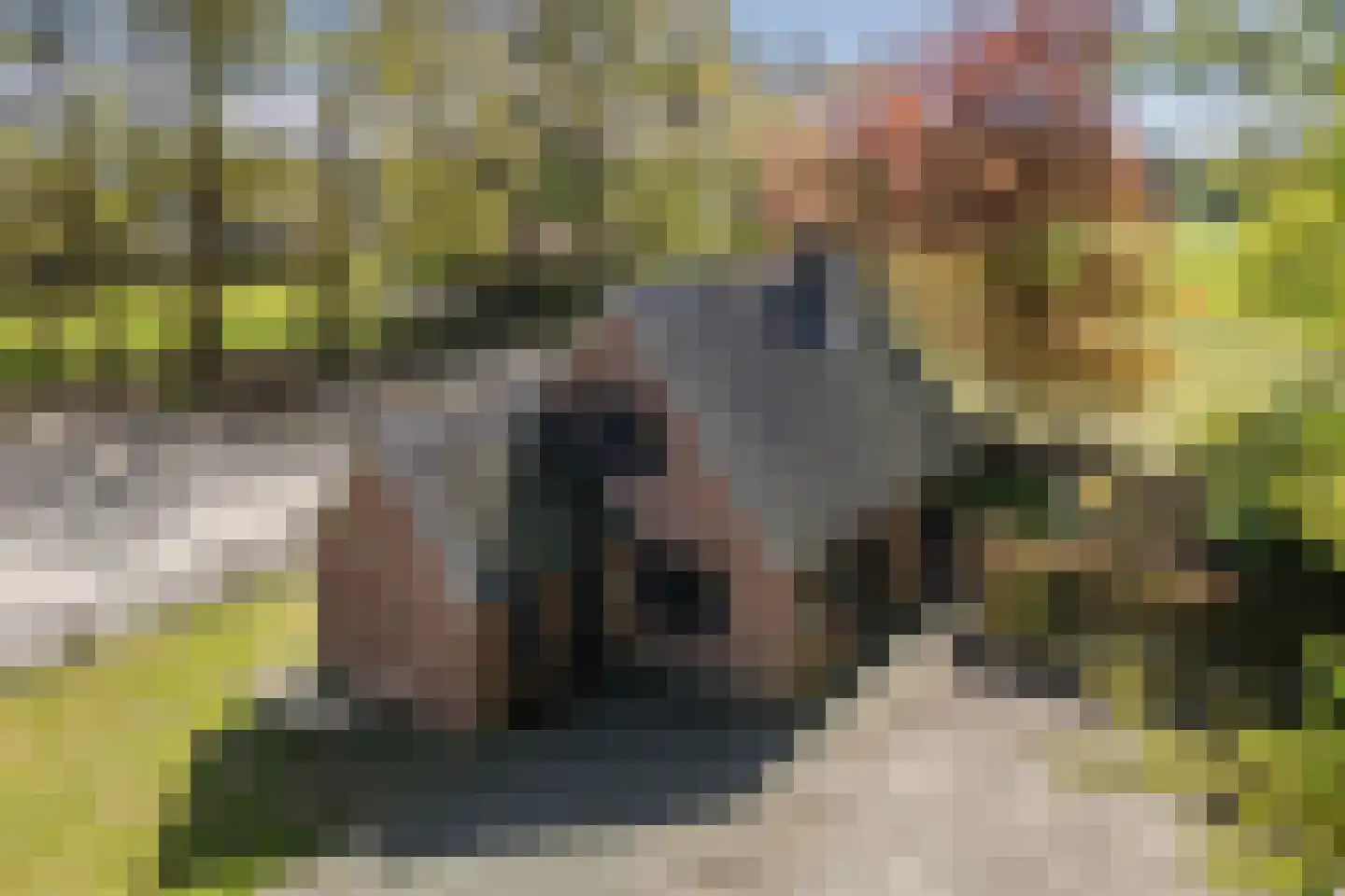 Oude Hoevenweg 149 Vriezenveen thumbnail 49