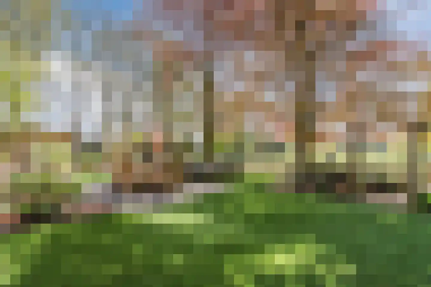 Oude Hoevenweg 149 Vriezenveen thumbnail 5