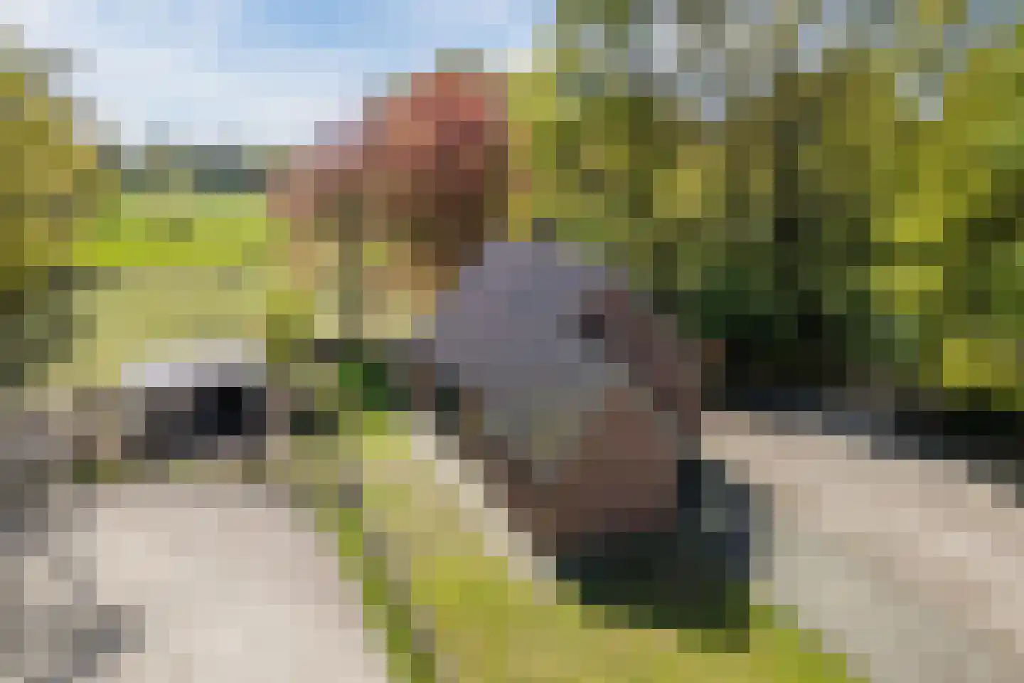 Oude Hoevenweg 149 Vriezenveen thumbnail 50