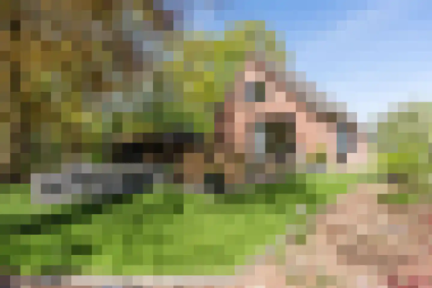 Oude Hoevenweg 149 Vriezenveen thumbnail 51
