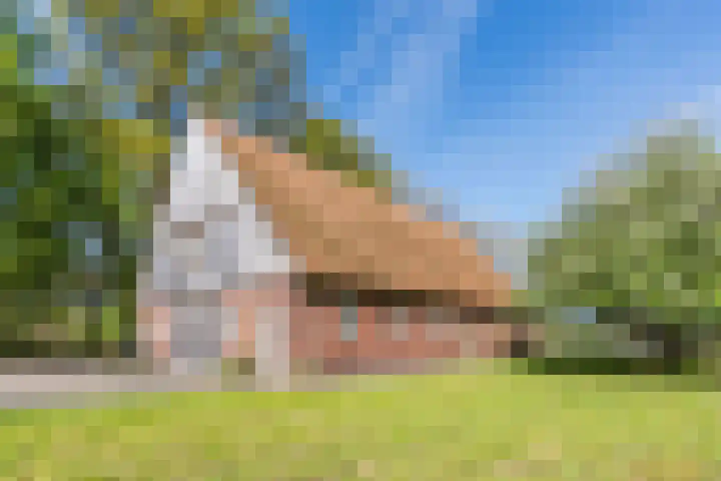 Oude Hoevenweg 149 Vriezenveen thumbnail 54