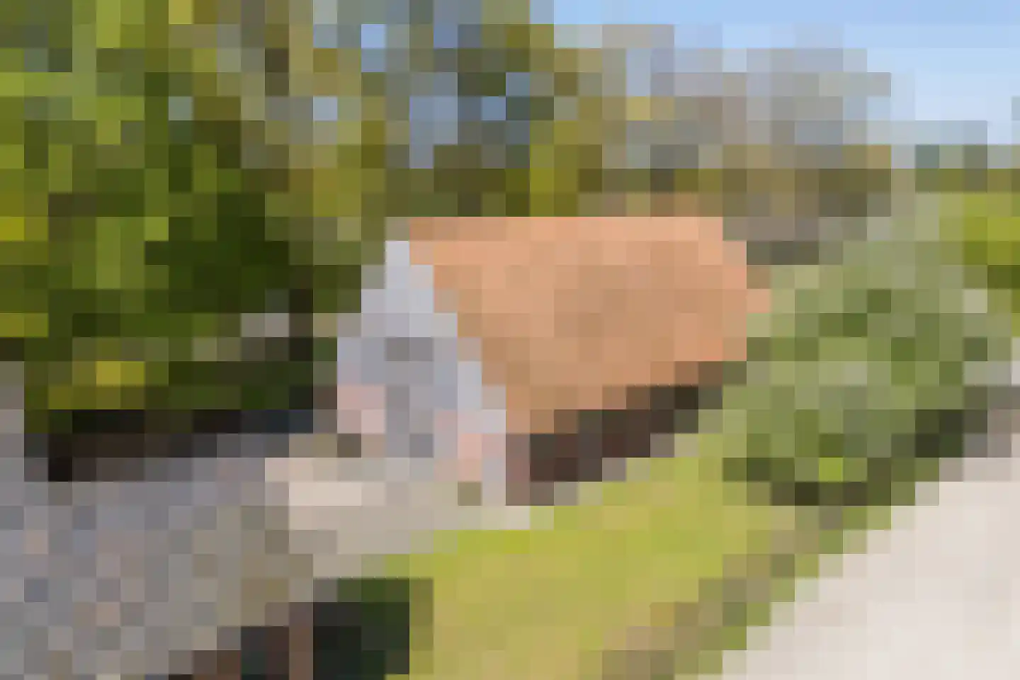 Oude Hoevenweg 149 Vriezenveen thumbnail 55