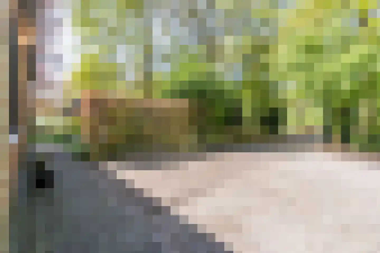 Oude Hoevenweg 149 Vriezenveen thumbnail 58