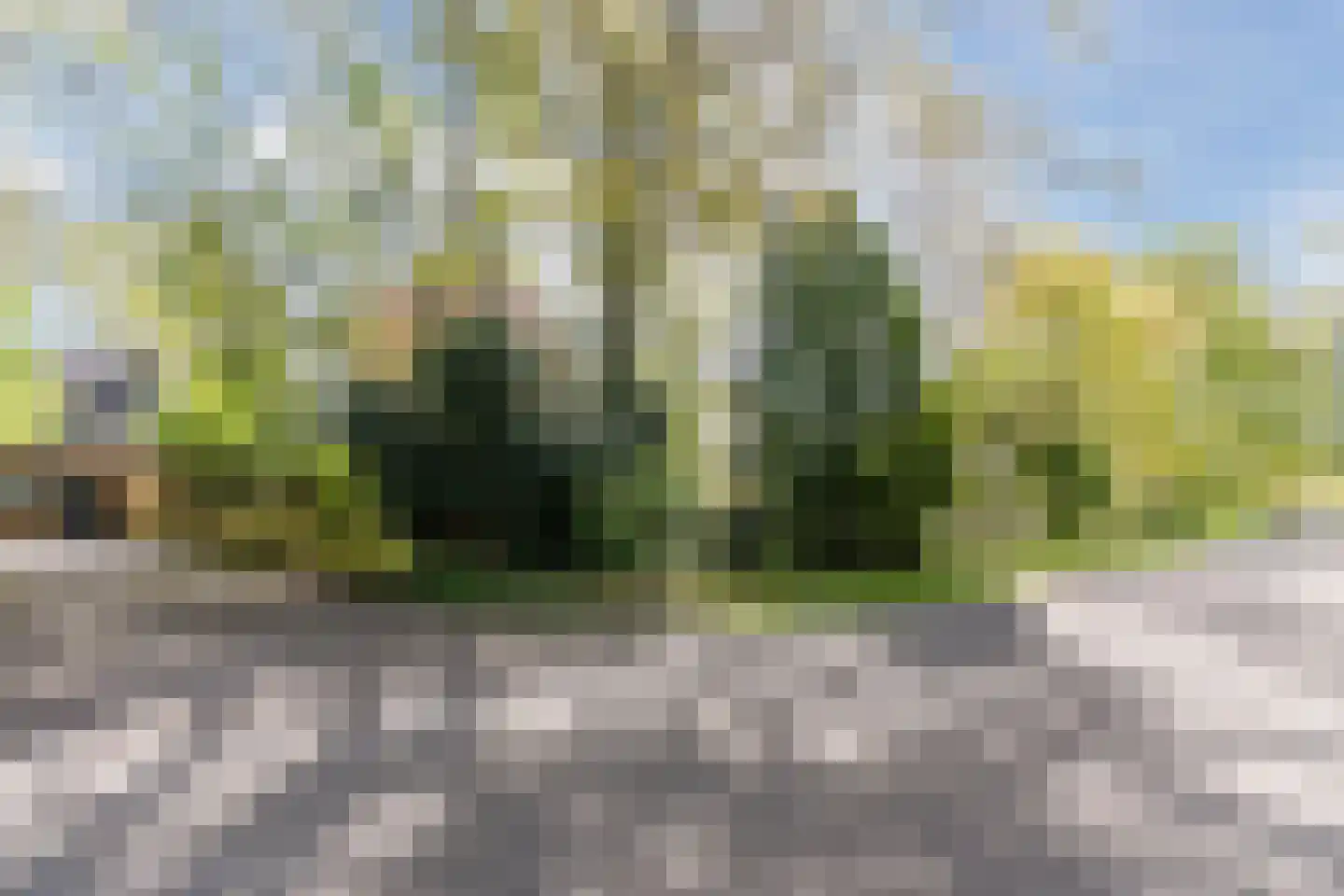 Oude Hoevenweg 149 Vriezenveen thumbnail 59