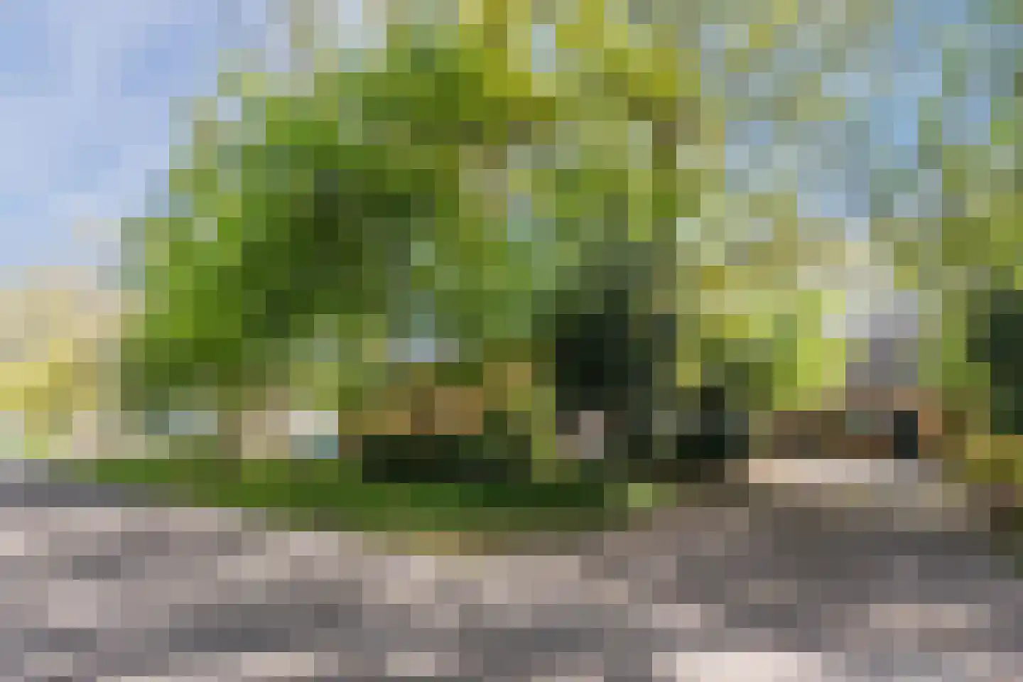 Oude Hoevenweg 149 Vriezenveen thumbnail 60