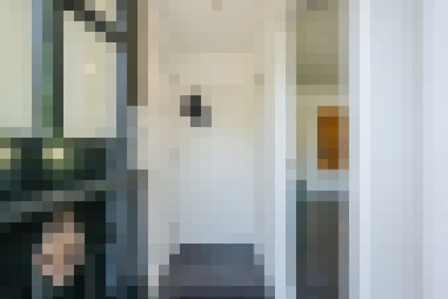Oude Hoevenweg 151 Vriezenveen thumbnail 17