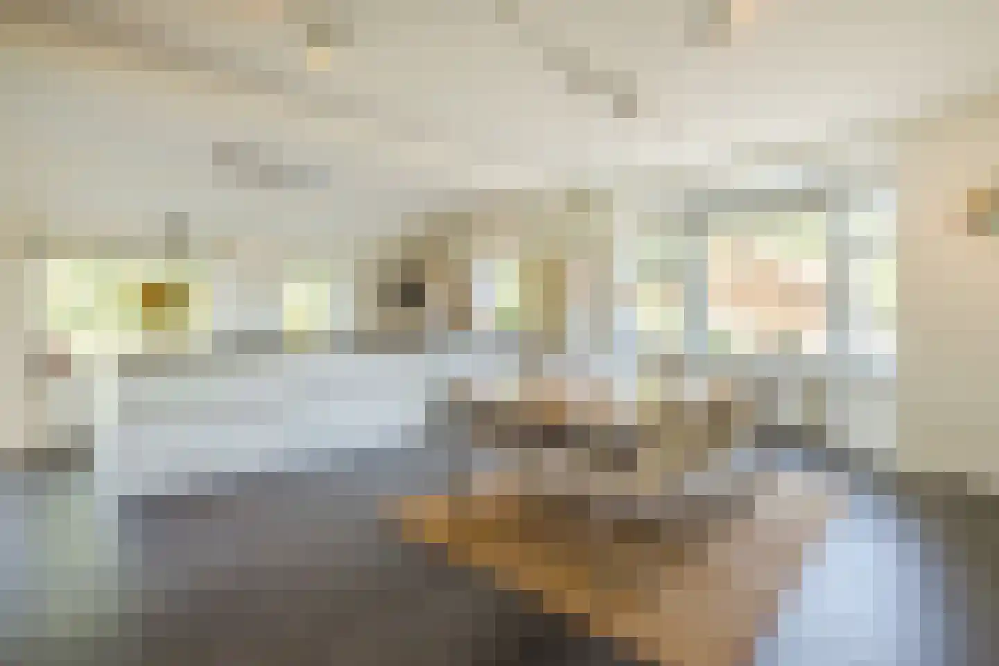 Oude Hoevenweg 151 Vriezenveen thumbnail 19