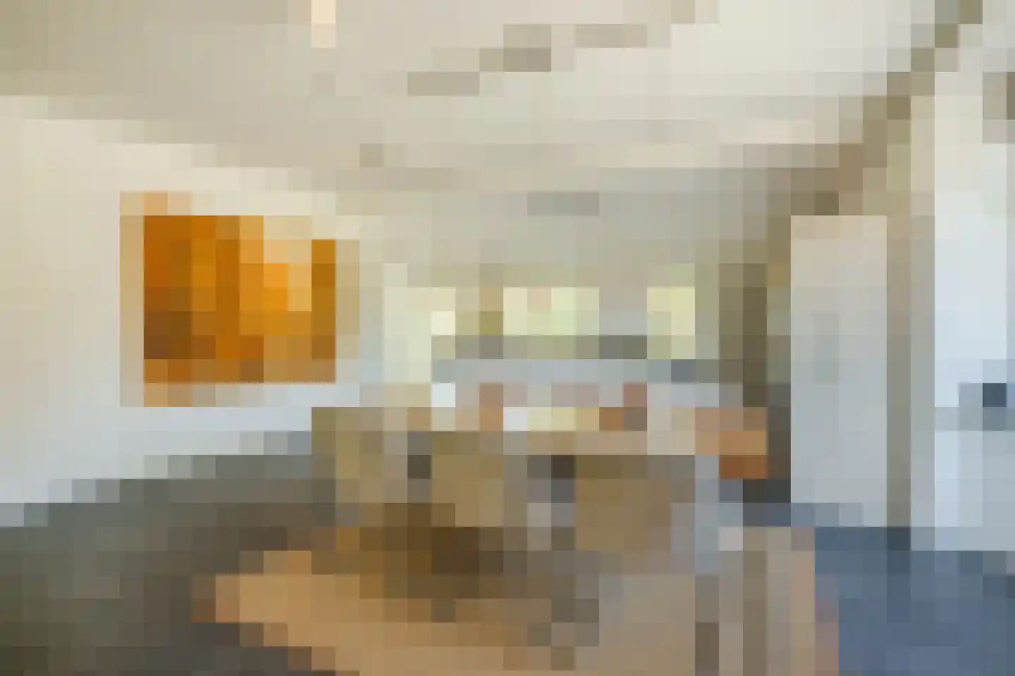Oude Hoevenweg 151 Vriezenveen thumbnail 21