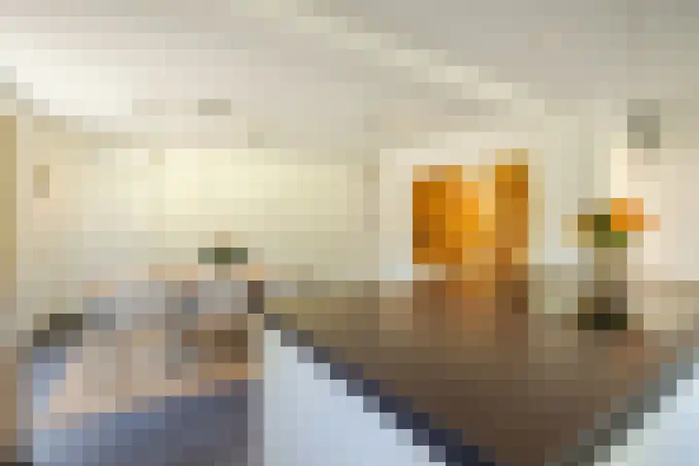 Oude Hoevenweg 151 Vriezenveen thumbnail 24