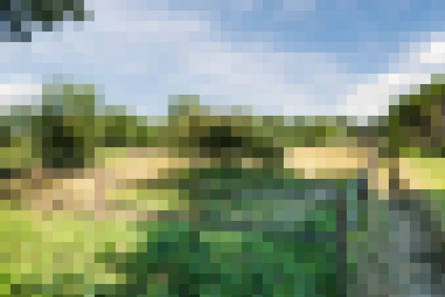 Oude Hoevenweg 151 Vriezenveen thumbnail 4