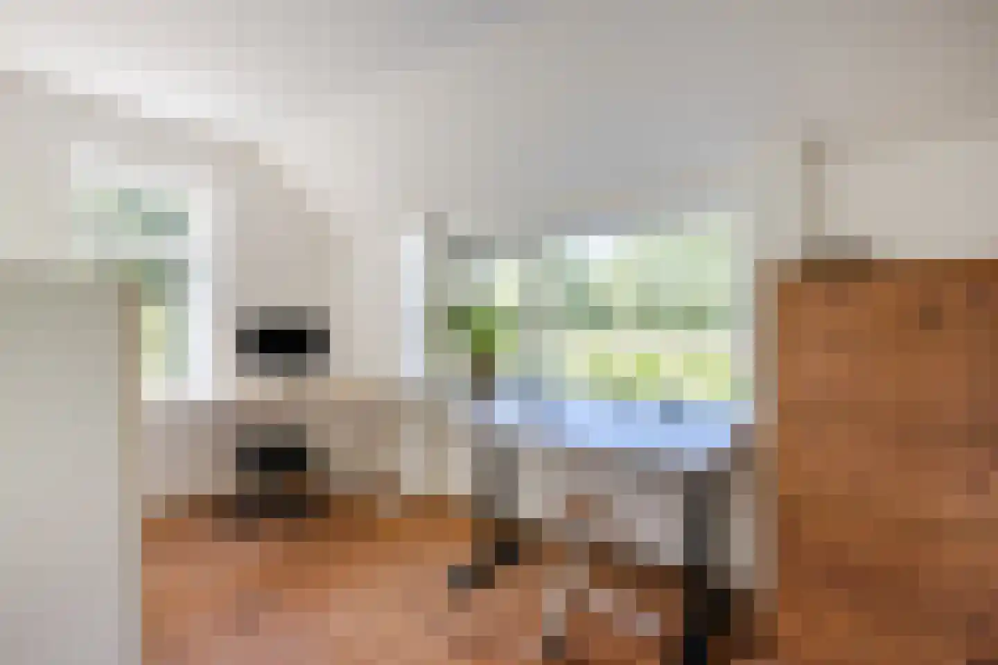 Oude Hoevenweg 151 Vriezenveen thumbnail 40