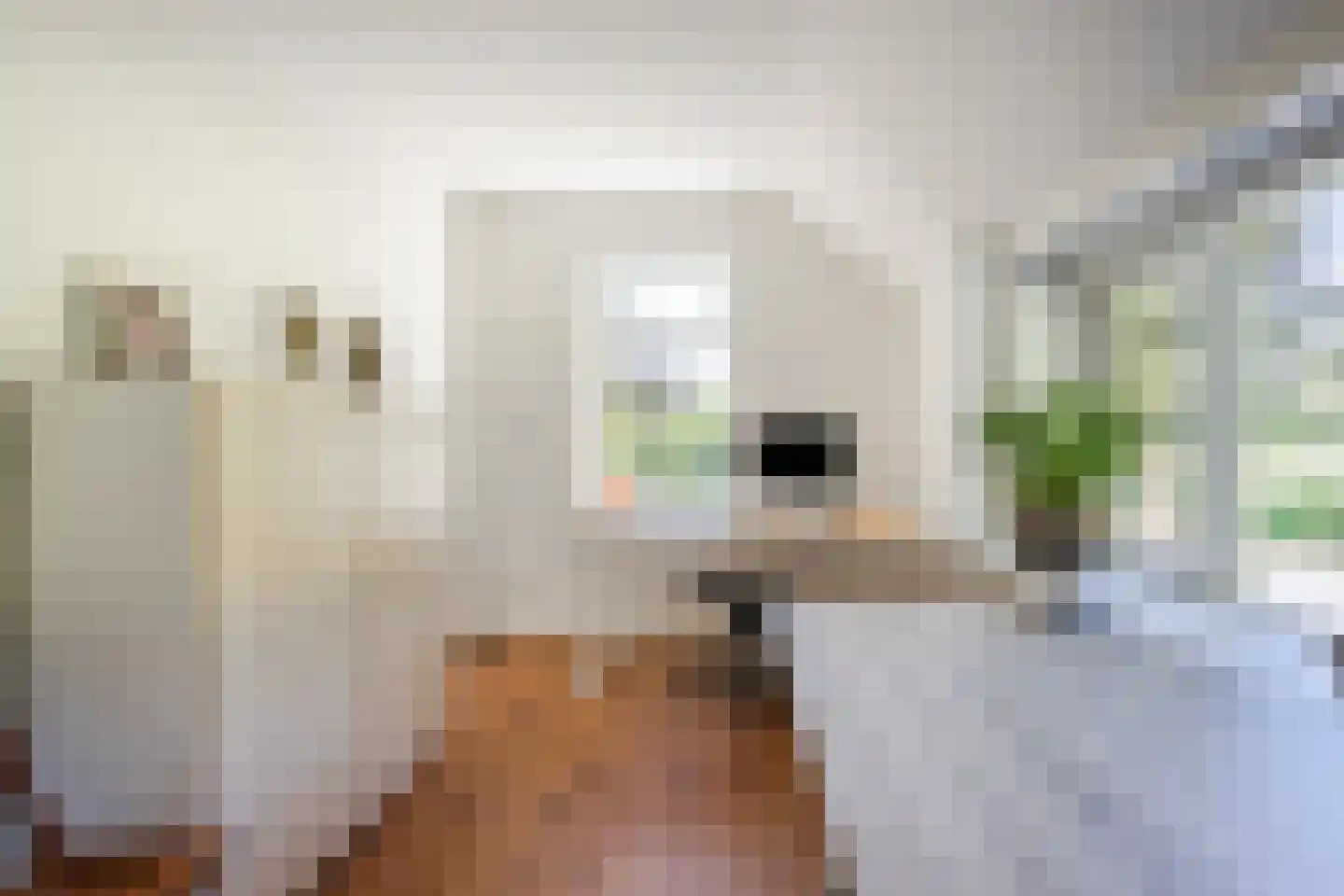 Oude Hoevenweg 151 Vriezenveen thumbnail 41