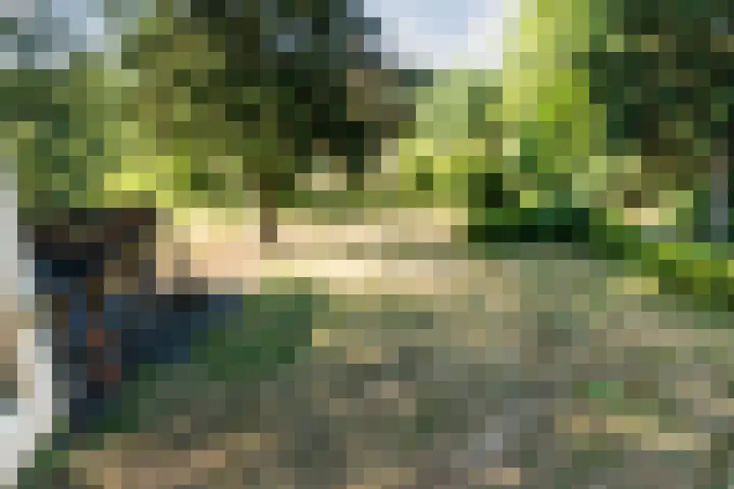 Oude Hoevenweg 151 Vriezenveen thumbnail 65
