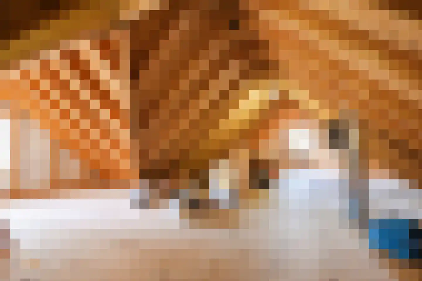 Oude Hoevenweg 151 Vriezenveen thumbnail 74