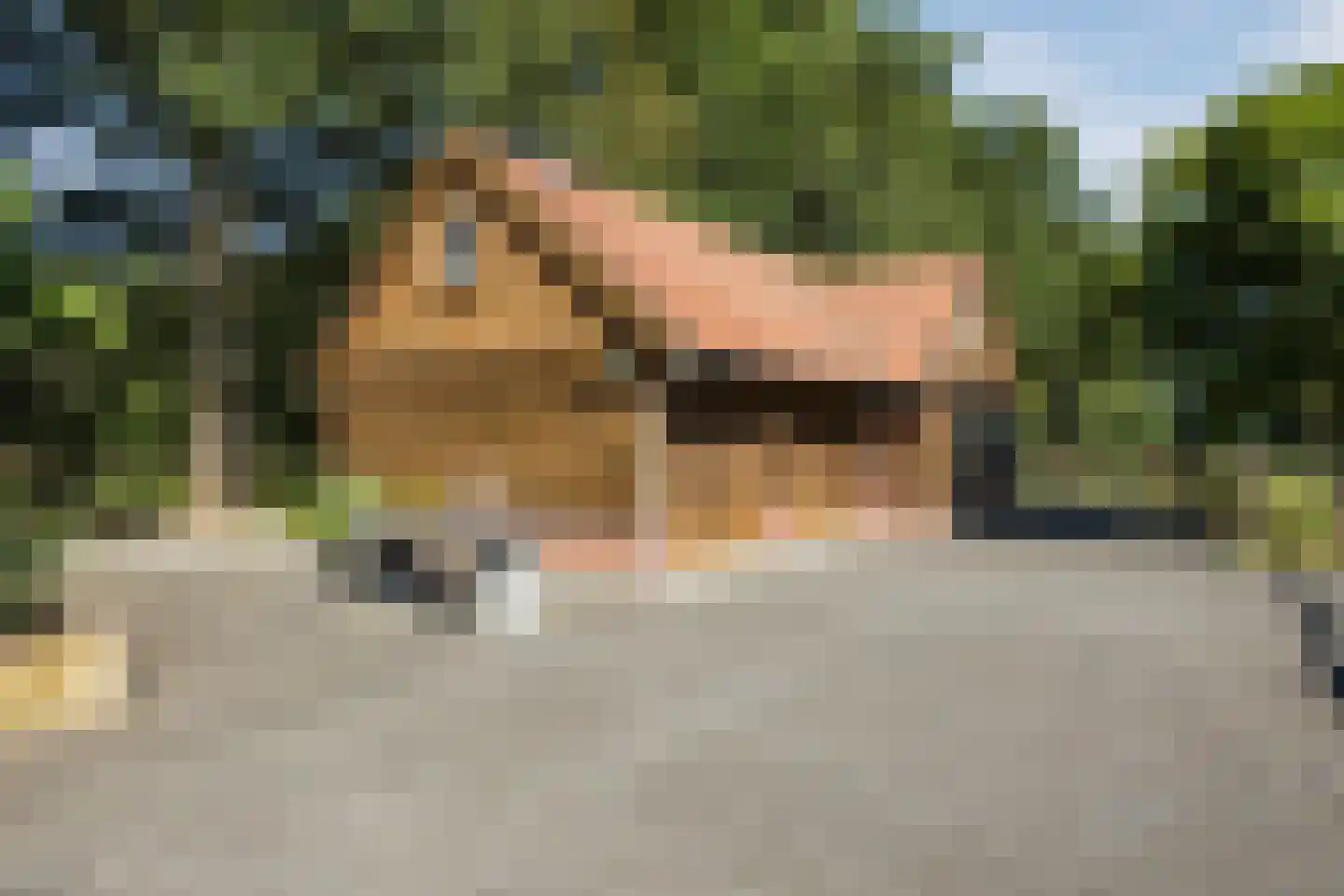 Oude Hoevenweg 151 Vriezenveen thumbnail 78