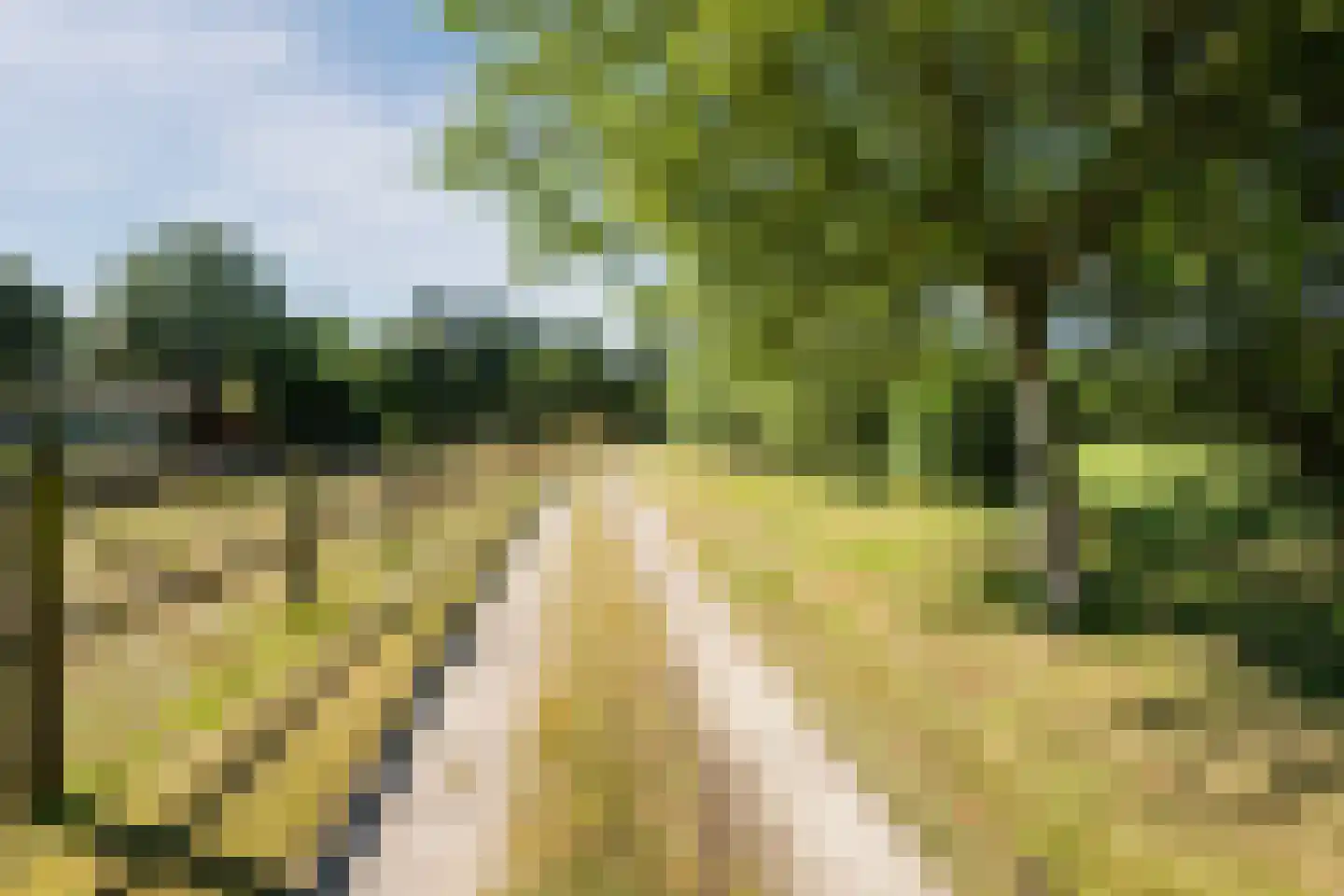 Oude Hoevenweg 151 Vriezenveen thumbnail 8