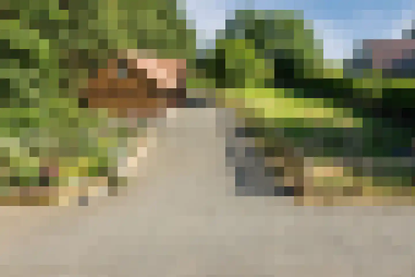 Oude Hoevenweg 151 Vriezenveen thumbnail 82