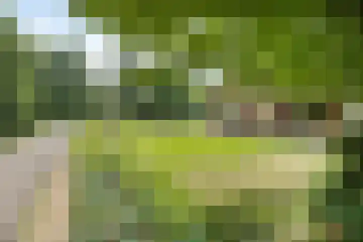 Oude Hoevenweg 157 Vriezenveen thumbnail 10