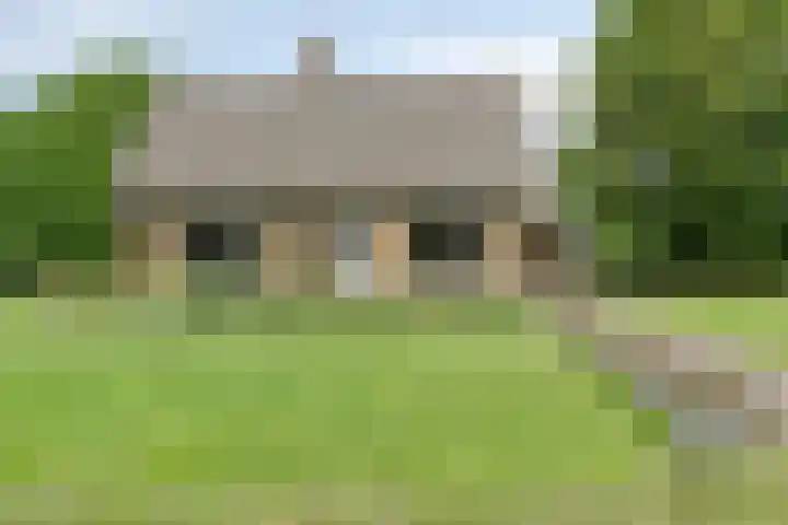 Oude Hoevenweg 157 Vriezenveen thumbnail 106