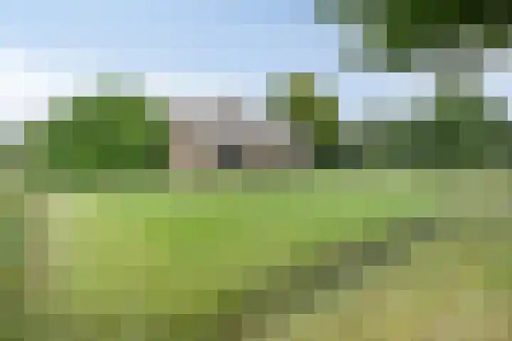 Oude Hoevenweg 157 Vriezenveen thumbnail 14