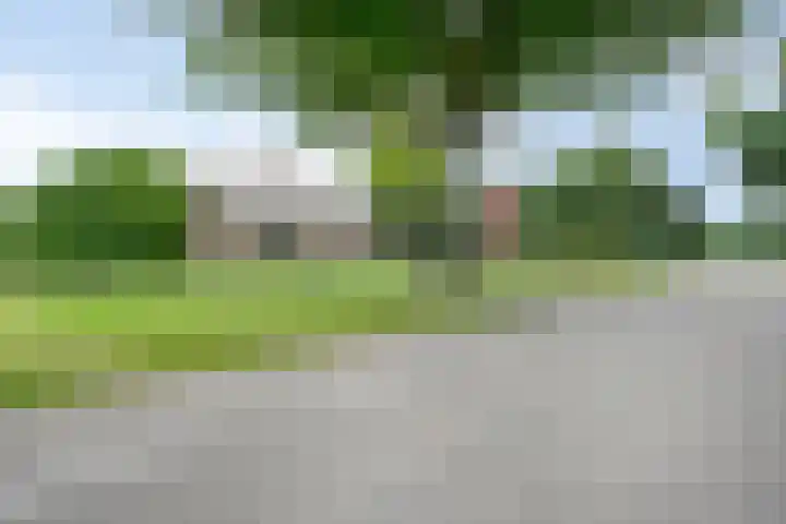 Oude Hoevenweg 157 Vriezenveen thumbnail 15