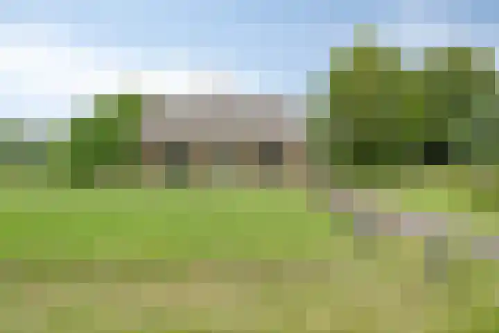 Oude Hoevenweg 157 Vriezenveen thumbnail 16