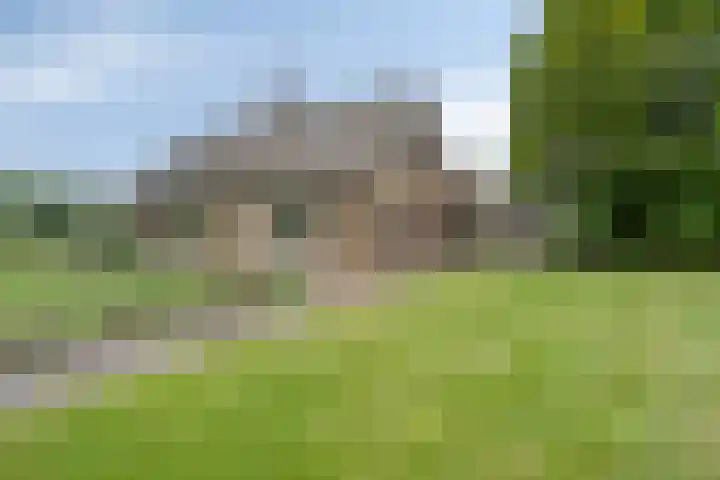 Oude Hoevenweg 157 Vriezenveen thumbnail 18
